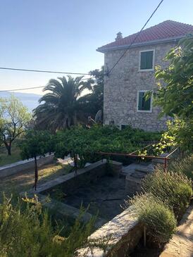 apartman Brač