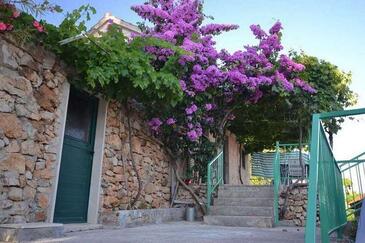 apartman Brač