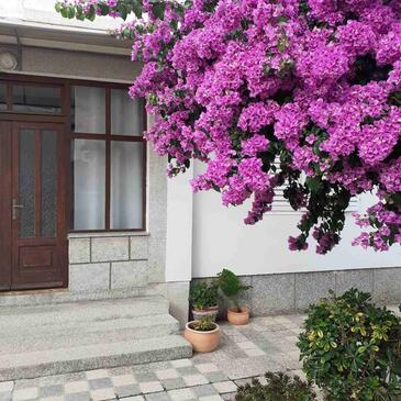 apartman Rab