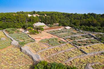 apartman Hvar